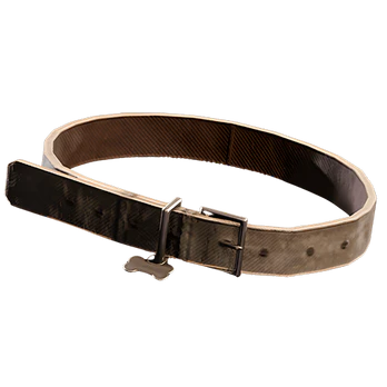 Dog Collar